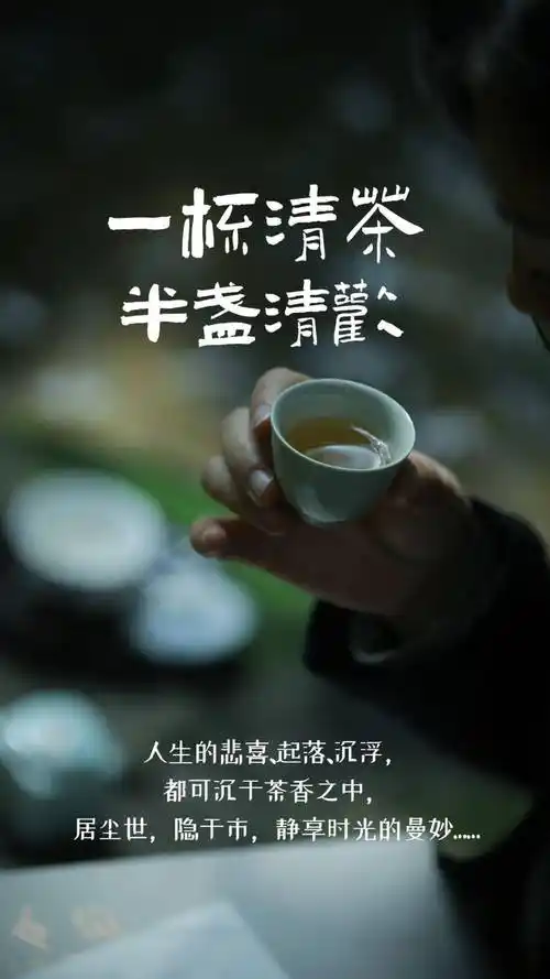 一杯清茶半盏清欢