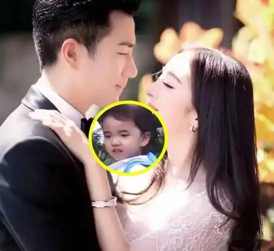 李晓峰_杨幂_网友