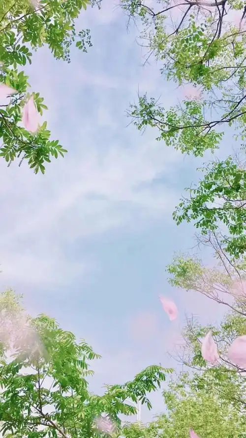 小清新壁纸 夏天