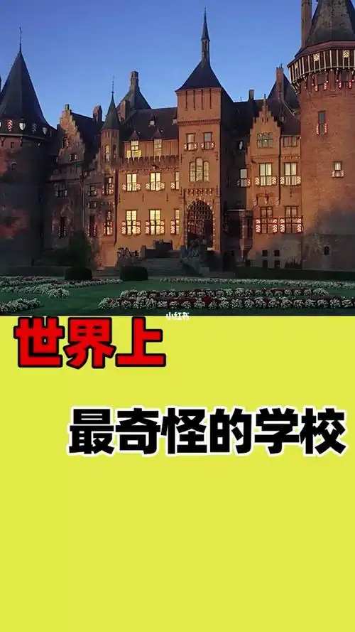 世界上最奇怪的学校