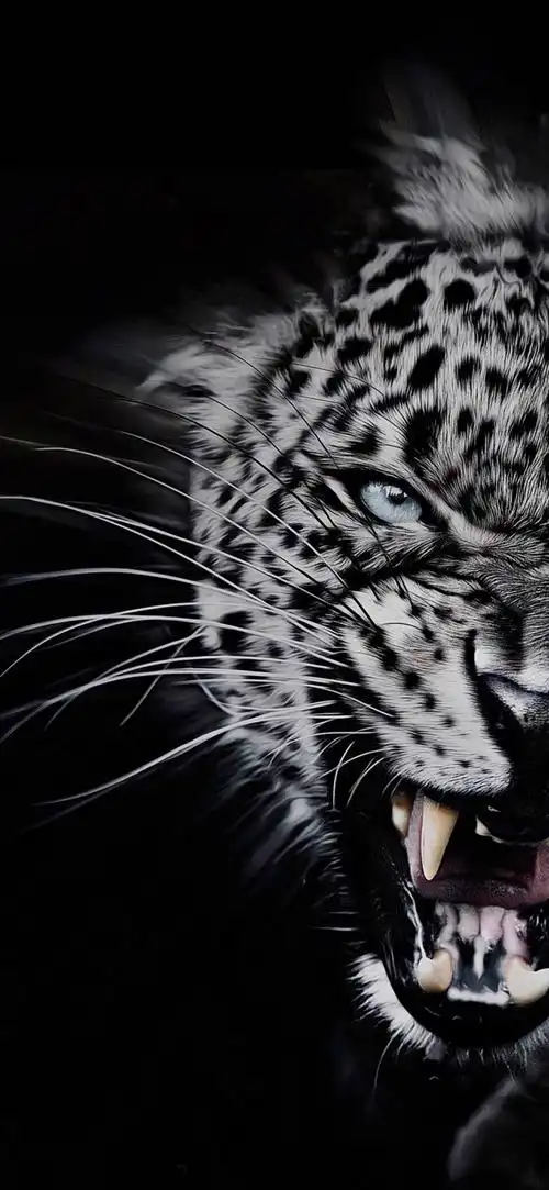 来波iphone x壁纸