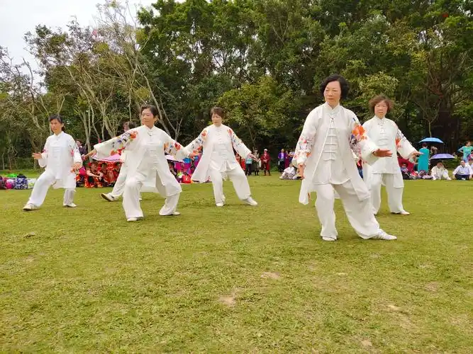 民治大岭社区老年协会莲花山公园草地才艺秀活动