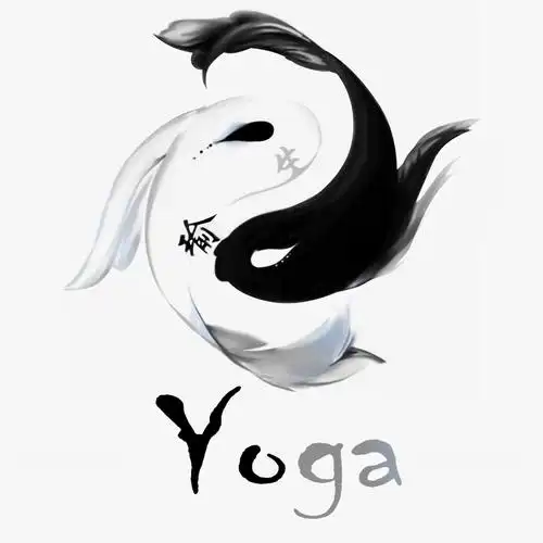 em>瑜 /em> em>生 /em> yoga