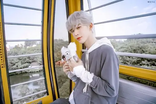 范丞丞 - 堆糖,美图壁纸兴趣社区