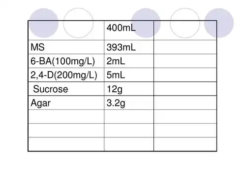 个人整理资料 400ml ms 6-ba(100mg/l) 2,4-d(200mg/l) sucrose agar