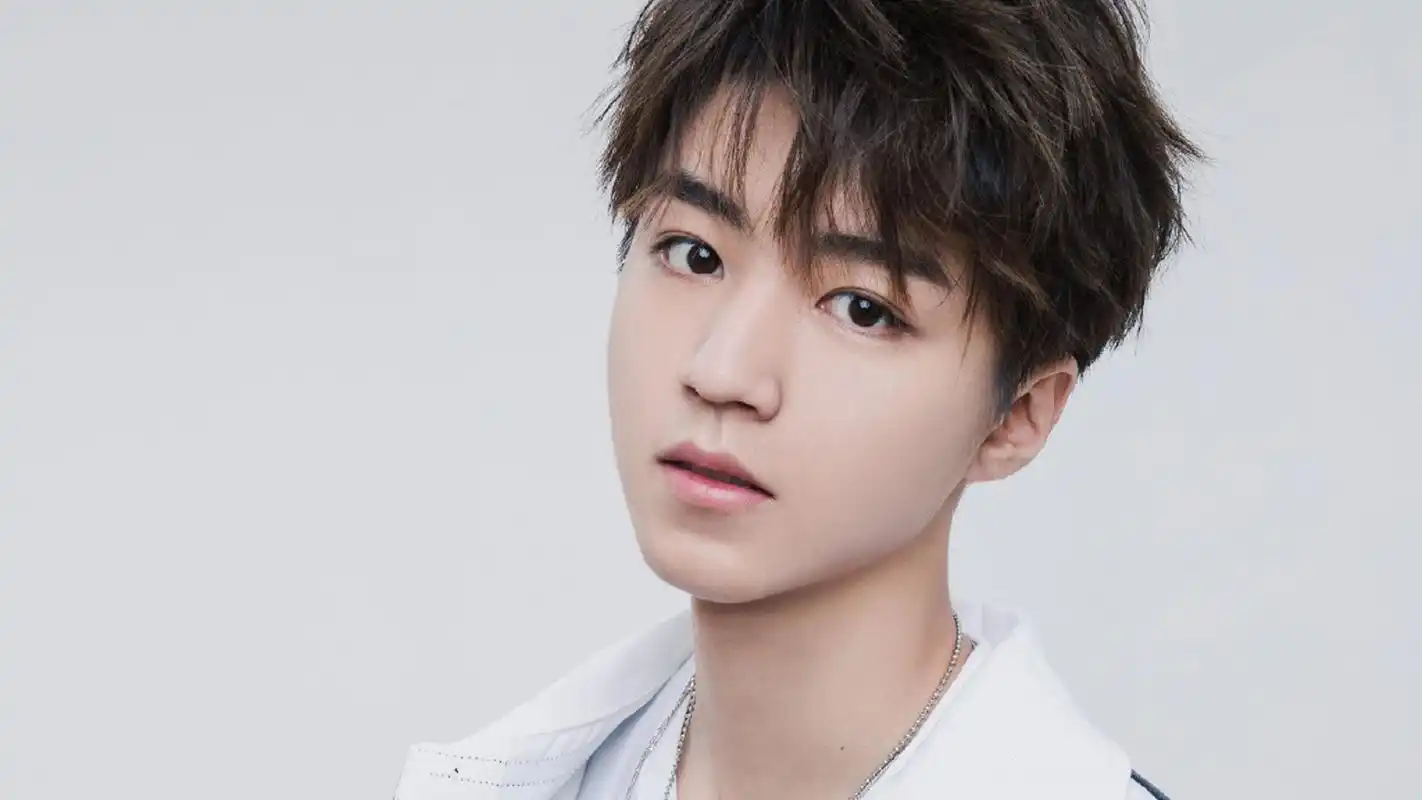 王俊凯 小凯 明星 明星风尚壁纸(明星静态壁纸) - 静态壁纸下载 - 元