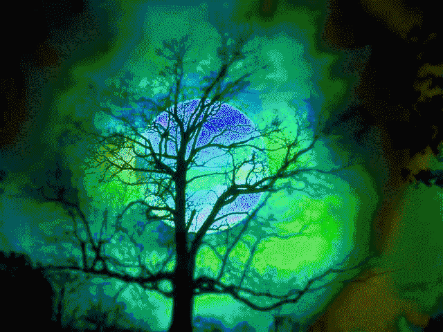 乐享人生:桃源诗歌凝香诗社(四)诗词精选第八十五期 - vv