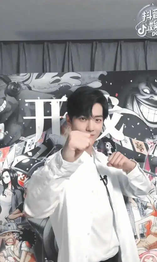 《听肖战说》青春回忆,那些追《海贼王》的日子