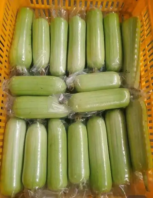 土农鼠生态农场推荐,奶油白玉嫩丝瓜,福建地道家乡菜,那里有最美的