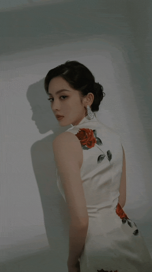 一万名粉丝心中有一万名古力娜扎,每个人对他都有不同的喜好和看法.