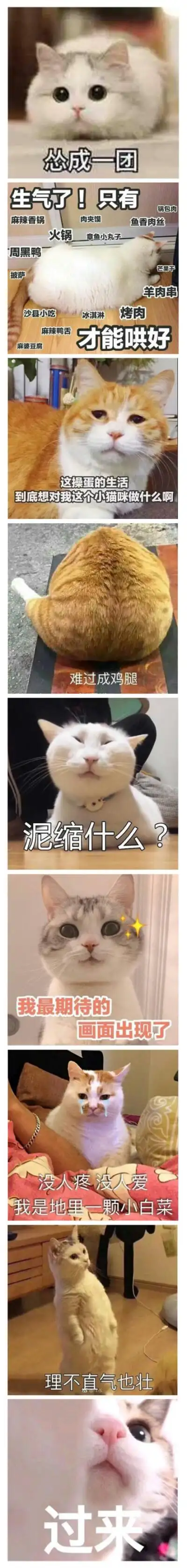 连环表情包表情包