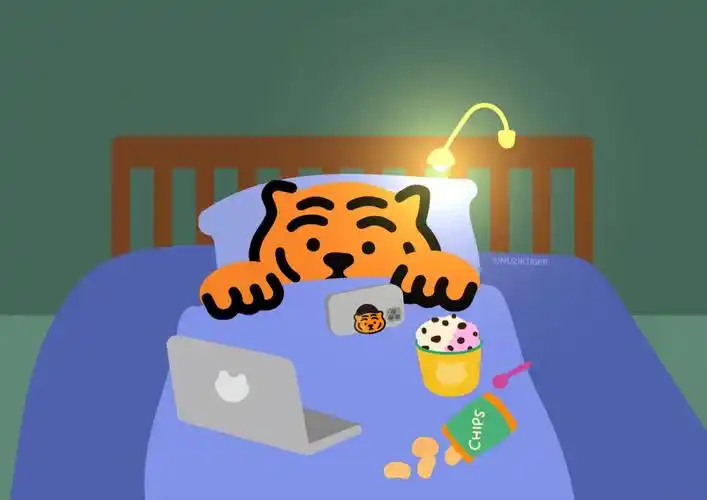 9191一直很喜欢这只小老虎,昨天看到爱丽小屋的联名立马去官网看