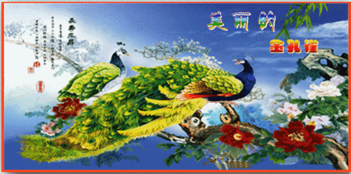 春暖花开,鸟语花香 (动感美景欣赏.