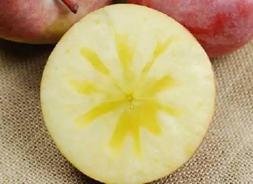 手把手教你做糖心苹果饭,孩子特别爱吃,试试看!