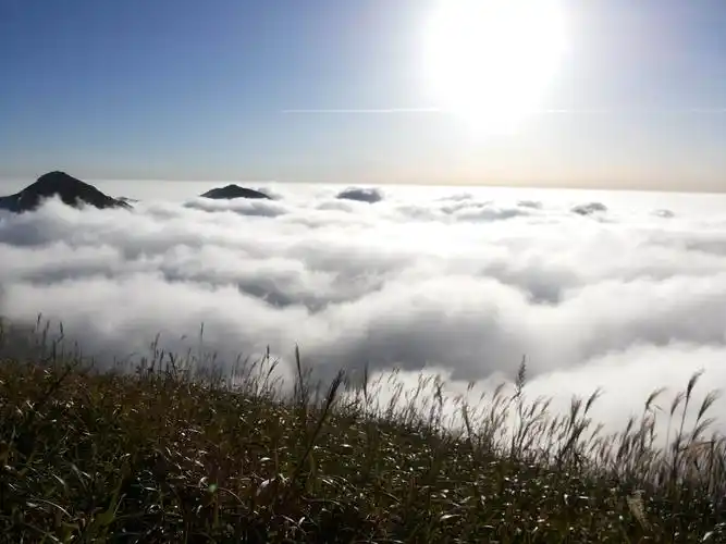 旅行日记:云巅上的草原之旅—江西武功上_高山云海