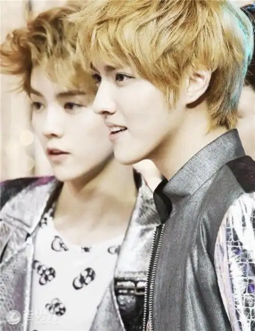 吴亦凡商业价值都第一了 为啥人气还比鹿晗差 / 比乐族