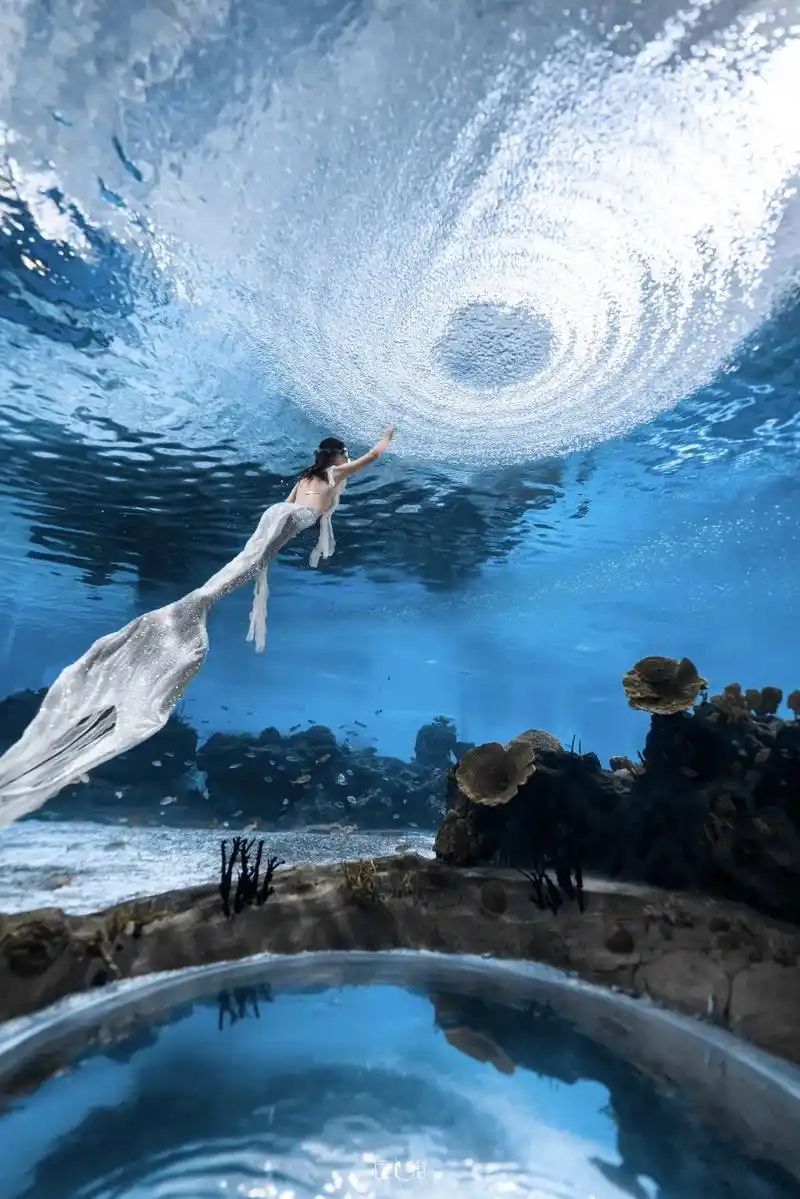 你说人间值得,所以我准备上岸了#美人鱼潜水 #水下摄影 #陵 - 抖音