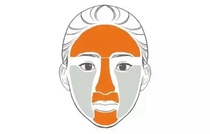 混合性皮肤兼有油性皮肤与干性皮肤的共同特性.