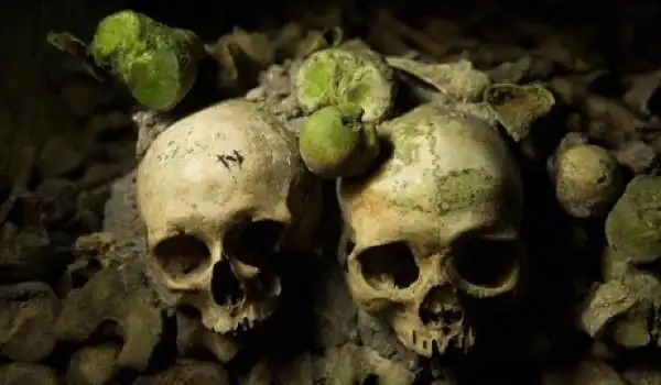 food stamp welfare individuals must be rfid chipped