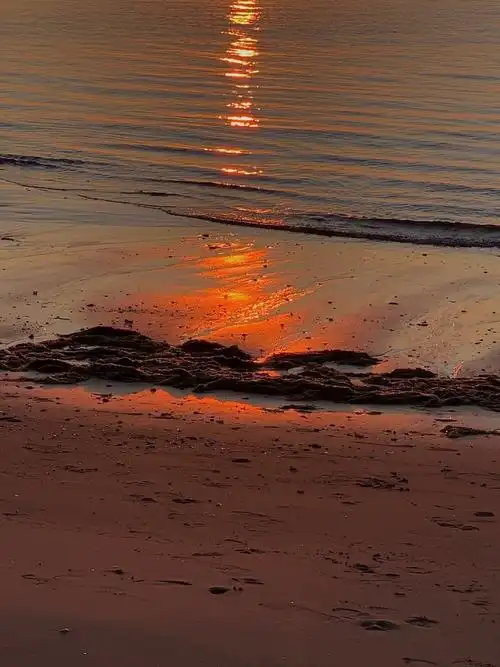 海滩背景图壁纸