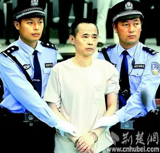 从依法办理刘汉刘维涉黑案看湖北政法机关战斗力