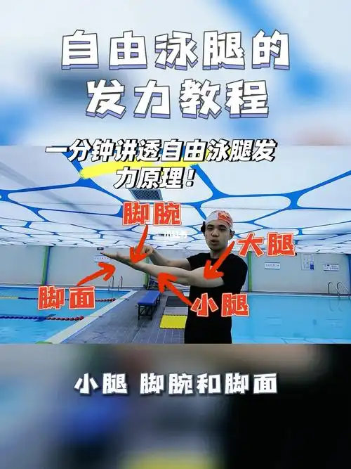 一分钟讲透自由泳腿发力原理自由泳腿游
