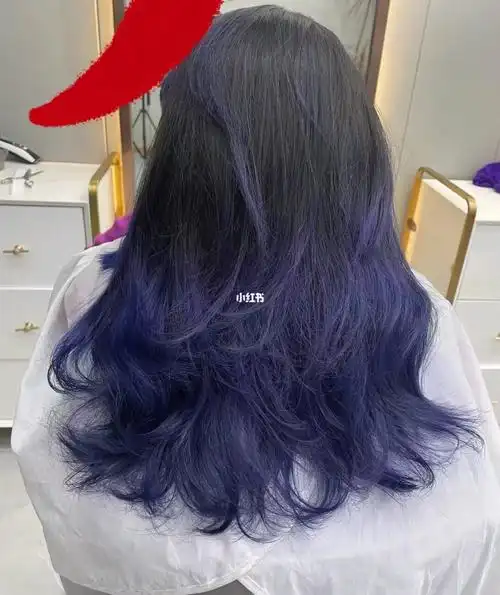 蓝色头发加了点紫