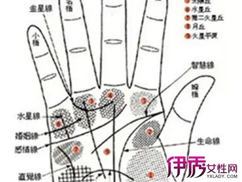 伊秀生活网 星座 / 正文女人手背痣相图解代表什么?