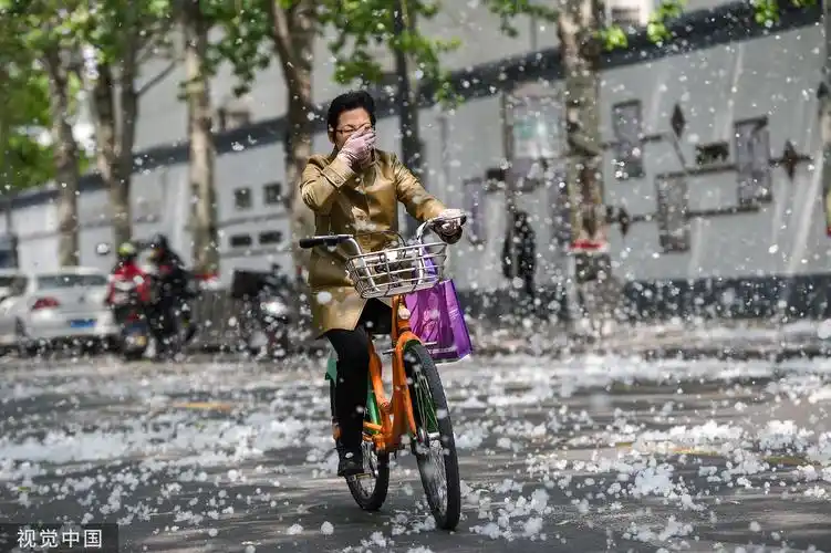 又到杨柳絮飘飞季节快收好这份防护攻略