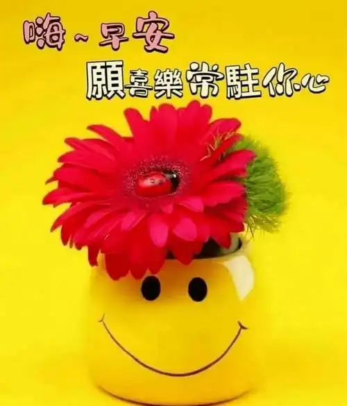 最新创意好看的早上好祝福图片,温馨唯美早安问候文字精选!