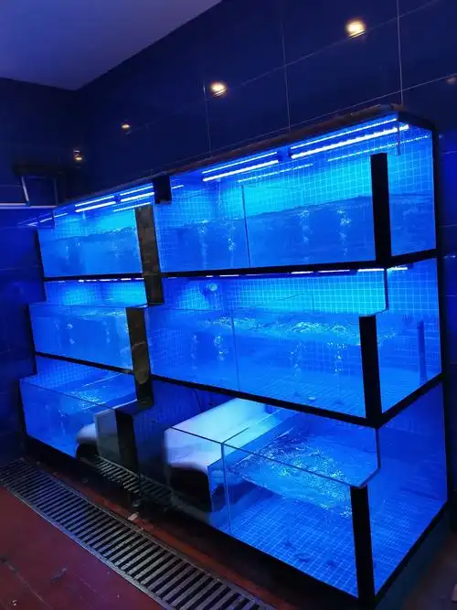 龙泉上林春更好海鲜池