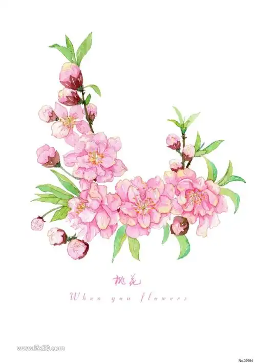 手绘桃花桃树花朵花枝png免扣素材