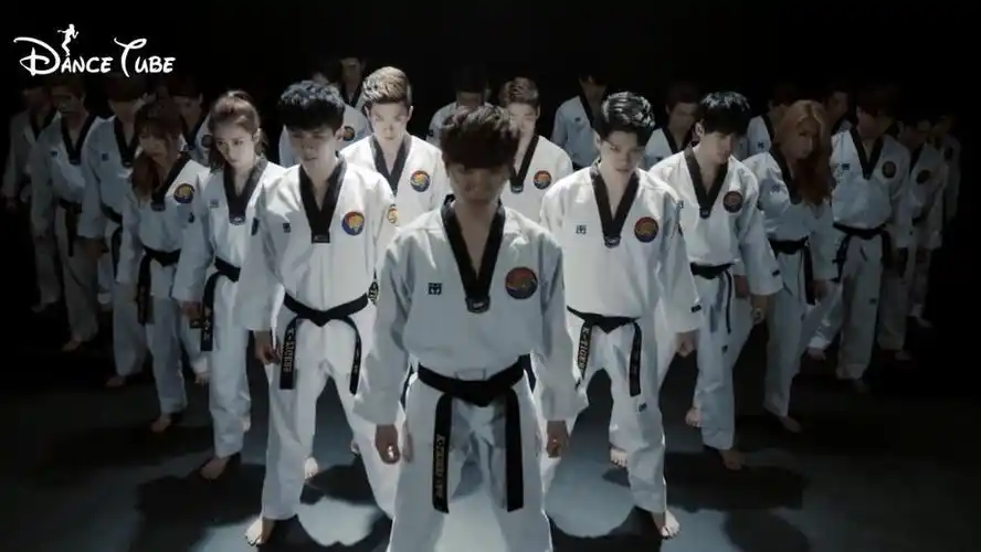 dancetube | 跆拳道竟然可以这么玩!韩国虎队k.
