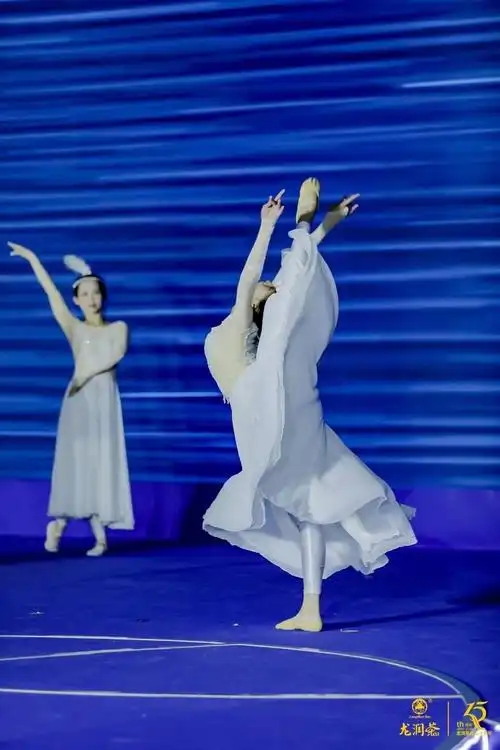 福建特色舞蹈组合海风白鹭惠安风情龙润茶十五周年品牌与发展峰会表演