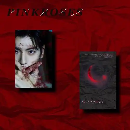 翟潇闻生日应援小卡2