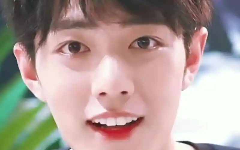 肖战那些可以治愈世间一切的笑容#肖战 #治愈系笑容