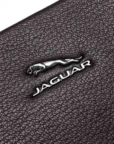 捷豹jaguar国际品牌皮具专场捷豹男士简约大气鹿皮手拿包jm1108110202