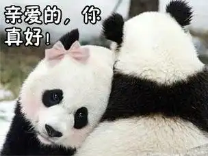 熊猫动物搞笑亲爱的你真好gif动图_动态图_表情包下载_soogif