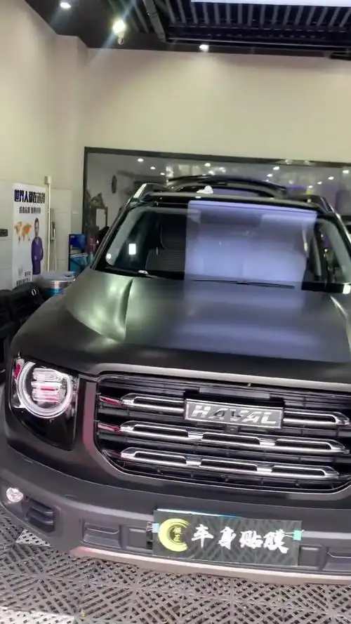 哈佛大狗,黑武士,这是你们喜欢的大狗吗,能文能武,儋州贴膜性价比超高