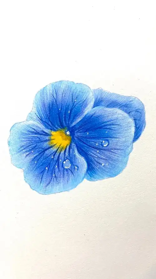 「彩铅画教程」超简单小花花,零基础入门-度小视