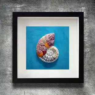 贝壳装饰画鹦鹉螺 地中海风格手工艺术立体挂画 工艺画创意实物画