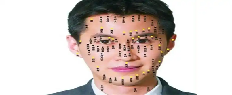 男性的鼻子上面的痣主要代表一个人的财运,嘴上的痣主要代表一种福相