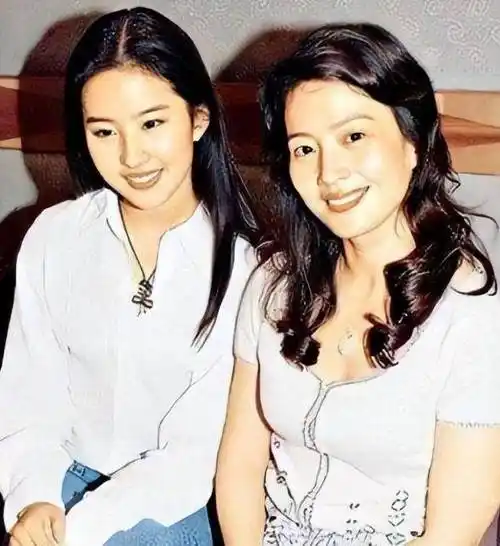 事实证明,36岁无人敢娶的刘亦菲,已经成为了人生赢家_宋承宪_感情_私