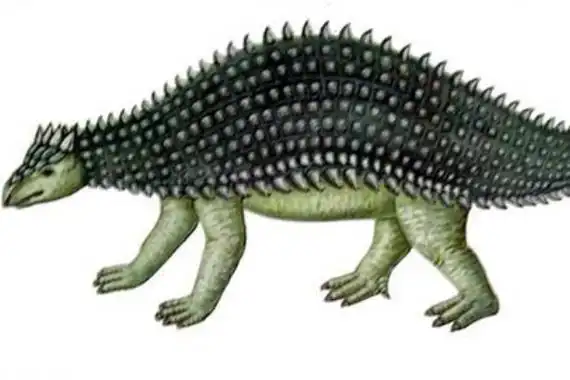 结节龙科恐龙的特征