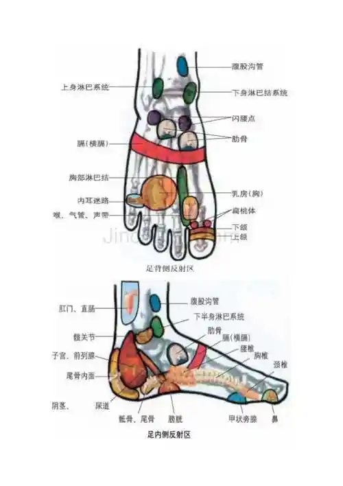人体脚部穴位图足疗口诀