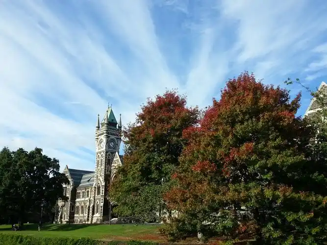 奥塔哥大学otago university