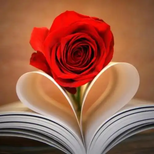 书香玫瑰花_唯美微信头像图片_扣扣居