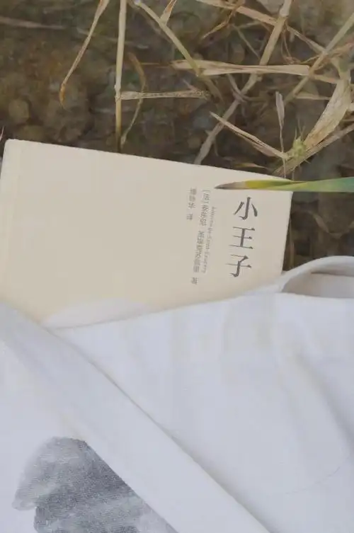 文轩|梁文道|成都市|西西弗书店_网易订阅