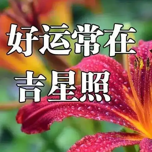 新的一周早上好 美好祝福带到你身上 平安幸福,健康快乐,好运连连