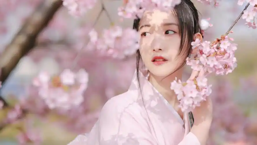 樱花树下的的美女图片-美女壁纸 - 壁纸家